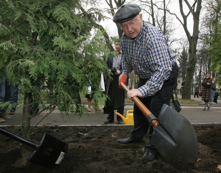 Мэр Москвы Юрий Лужков принял участие в посадке деревьев во время общегородского субботника на территории спорткомплекса Лужники