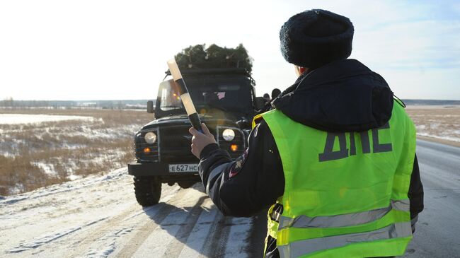 Сотрудник ДПС останавливает машину для проверки документов, во время рейда по незаконной вырубке хвойных деревьев