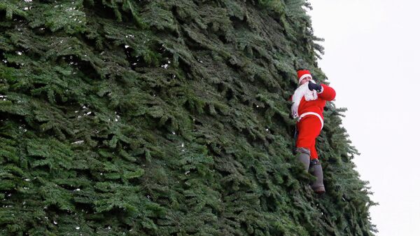 Монтажник-высотник Дмитрий Иванов в костюме Санта-Клауса участвует в установке главной новогодней елки высотой 55 метров на острове Татышев посреди реки Енисей в Красноярске