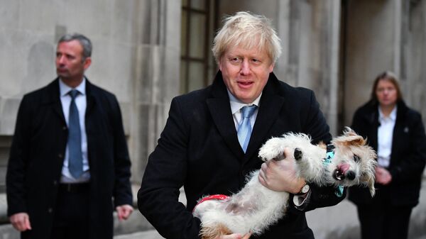 Премьер-министр Великобритании Борис Джонсон со своей собакой по кличке Дилэн на избирательном участке в Лондоне