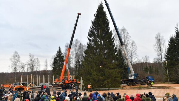 Торжественный спил 20-ой общероссийской новогодней елки 2019-2020