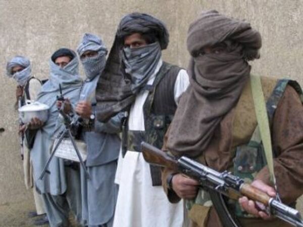 США обеспокоены активизацией террористов в Пакистане и Афганистане
