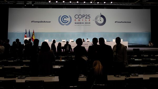 Участники Конференции сторон Рамочной конвенции ООН об изменении климата (COP25) в Мадриде, Испания. 15 декабря 2019