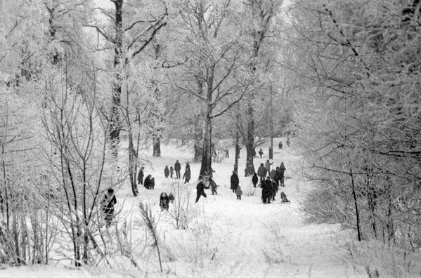 Жители московского микрорайона Ясенево на прогулке в зимнем парке