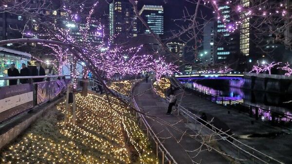 Рождественская иллюминация в Токио, Япония