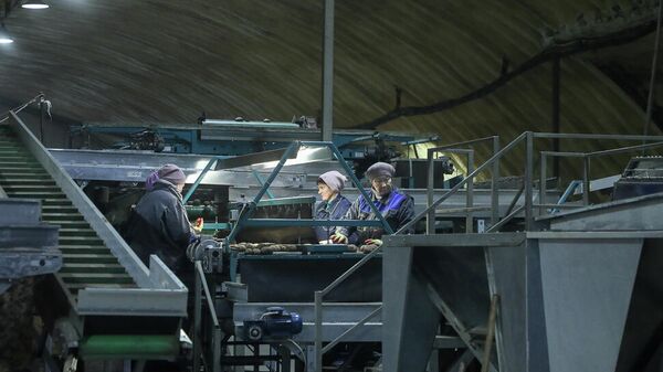 Рабочие на заводе по производству картофельного крахмала в селе Оленевка Пензенского района