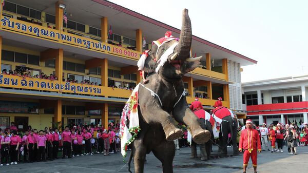 Слон в костюме Санта-Клауса выступает перед детьми во время празднования Рождества в Таиланде