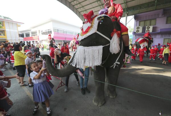 Слон в костюме Санта-Клауса выступает перед детьми во время празднования Рождества в Таиланде