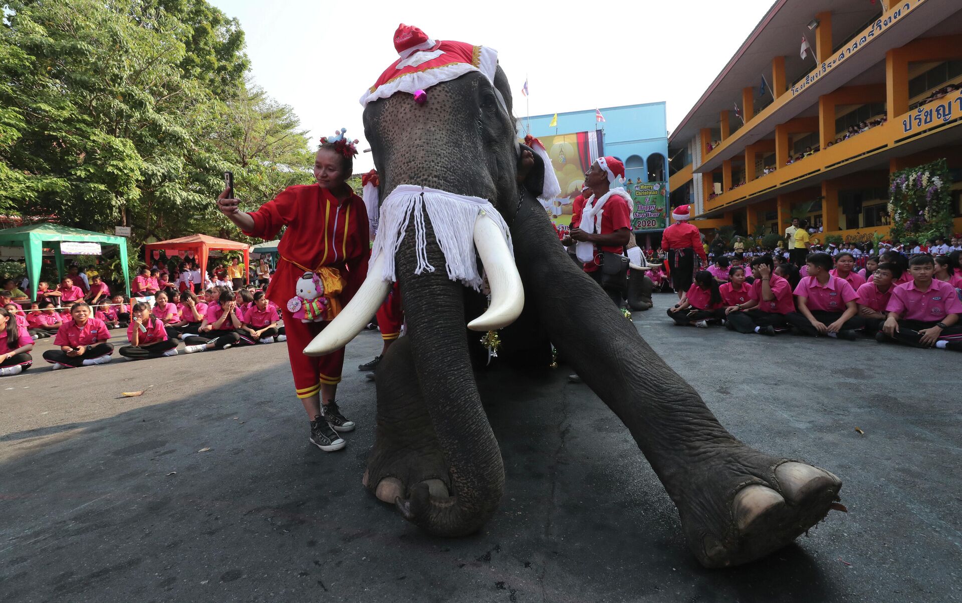 Слон в костюме Санта-Клауса выступает перед детьми во время празднования Рождества в Таиланде - РИА Новости, 1920, 06.12.2022