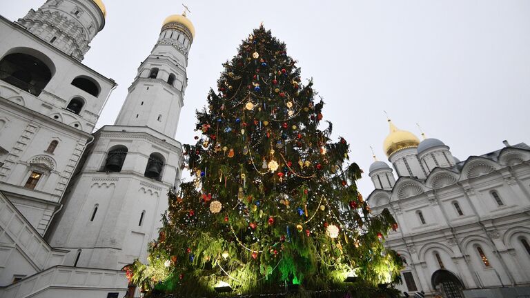 Украшение новогодней елки на Соборной площади Кремля