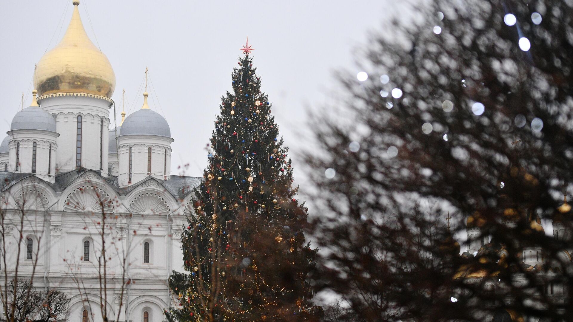 Украшение новогодней елки на Соборной площади Кремля - РИА Новости, 1920, 17.08.2020