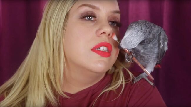 Стоп-кадр видео My Bird Does My Makeup