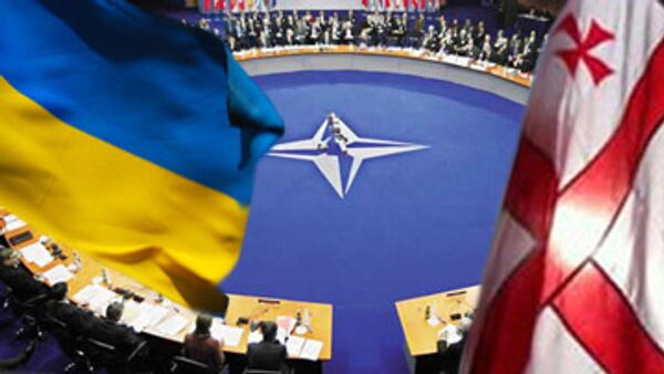 НАТО подтверждает стремление принять в свои ряды Украину и Грузию