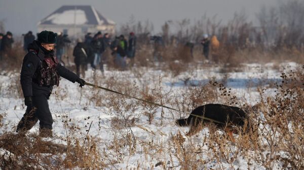 Сотрудник полиции с собакой на месте крушения самолета Fokker 100 казахстанской авиакомпании Bek Air