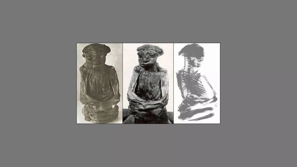 Мумия гор Сан-Педро - РИА Новости, 1920, 06.06.2025
