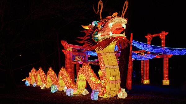 Дракон на Фестивале китайских волшебных фонарей в парке Сокольники
