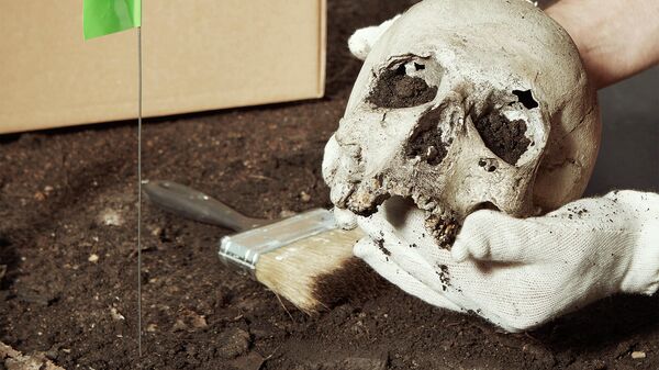 Руки археолога с черепом