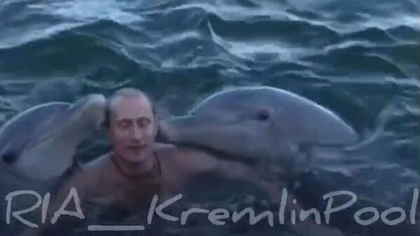 Владимир Путин плавает с дельфинами. Архивные кадры. 2000 год