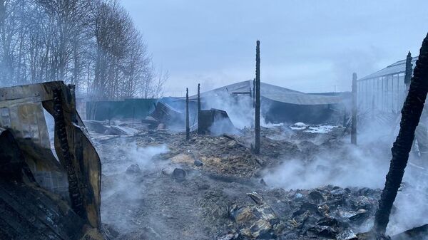 Последствия пожара на территории дачного товарищества в Раменском районе