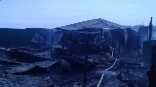 Последствия пожара на территории дачного товарищества в Раменском районе