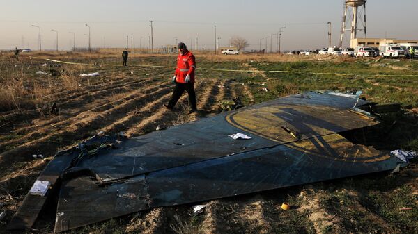 На месте крушения пассажирского лайнера Украины Boeing 737-800 неподалеку от тегеранского международного аэропорта имени Имама Хомейни