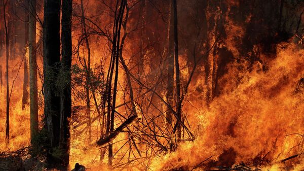 Контролируемый пожар  вблизи Томеронга, Австралия, запущенный в попытке сдержать крупный пожар поблизости. 8 января 2019
