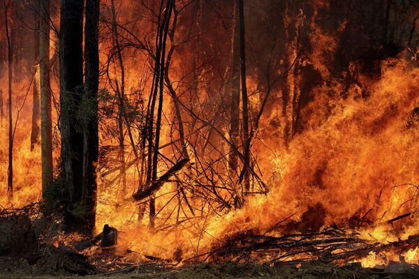 Контролируемый пожар  вблизи Томеронга, Австралия, запущенный в попытке сдержать крупный пожар поблизости. 8 января 2019