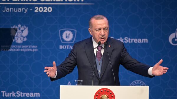 Президент Турции Реджеп Тайип Эрдоган выступает на церемонии официального открытия газопровода Турецкий поток в Стамбуле
