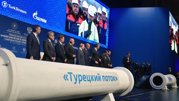 Президент России Владимир Путин и президент Турции Реджеп Тайип Эрдоган на церемонии официального открытия газопровода Турецкий поток в Стамбуле
