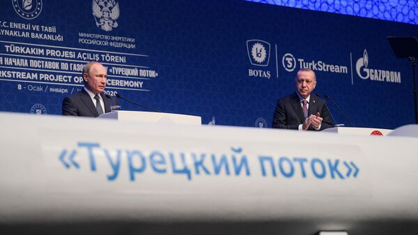 Президент России Владимир Путин и президент Турции Реджеп Тайип Эрдоган на церемонии официального открытия газопровода Турецкий поток в Стамбуле