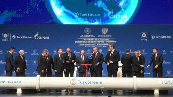 Президент РФ Владимир Путин и президент Турции Реджеп Тайип Эрдоган на церемонии официального открытия газопровода Турецкий поток в Стамбуле