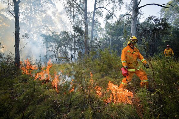 Контролируемый пожар вблизи Коррионга, Австралия