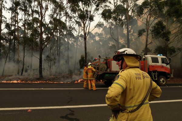 Тушение лесных пожаров в Австралии