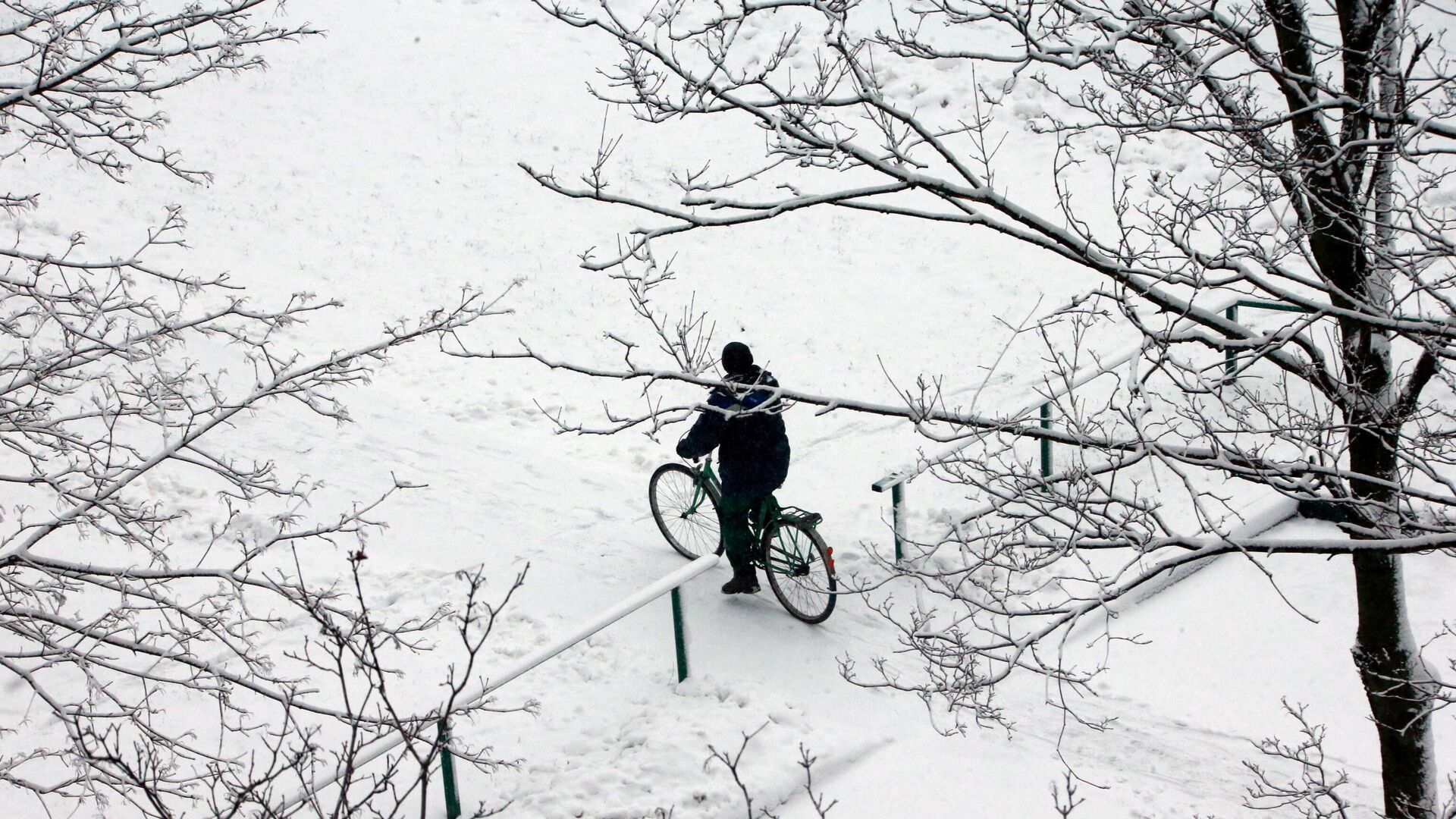 Мужчина катается на велосипеде в Москве - РИА Новости, 1920, 31.01.2022