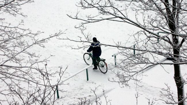 Погода в Москве