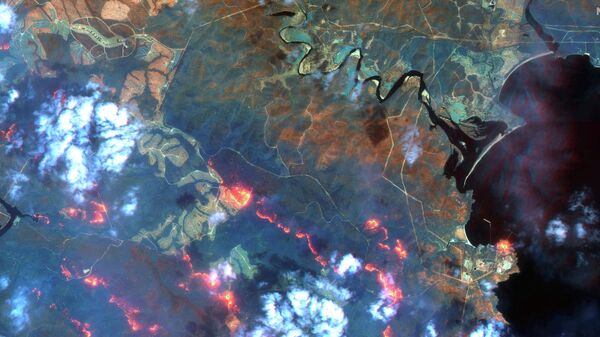 Лесные пожары в штате Новый Южный Уэльс, Австралия. Спутниковое изображение Maxar WorldView-3