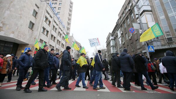 Участники митинга против законопроекта о продаже сельскохозяйственных земель в Киеве