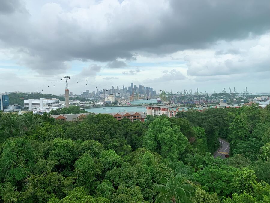 Сингапур, Сентоса. Вид с канатной дороги