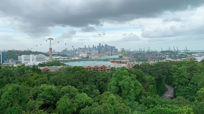 Сингапур, Сентоса. Вид с канатной дороги