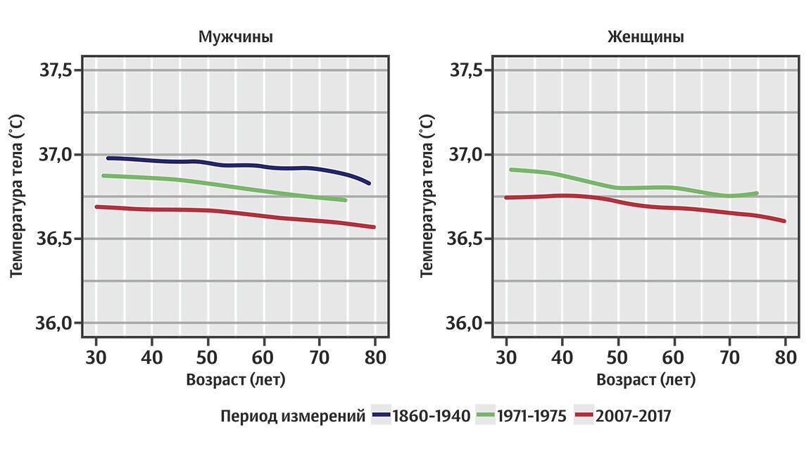 Измерения температуры тела мужчин и женщин разного возраста - РИА Новости, 1920, 14.05.2021