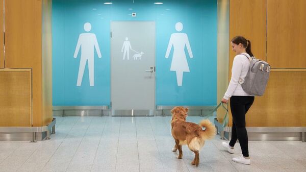 Туалет для собак в аэропорту Хельсинки 