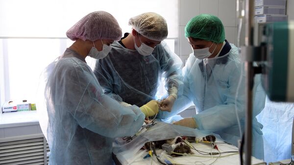 Студенты факультета Биоинженерия и ветеринарная медицина ДГТУ проходят практику в ветеринарной клинике