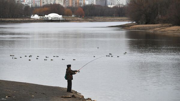 Мужчина ловит рыбу на территории Московского музея-заповедника Коломенское в Москве
