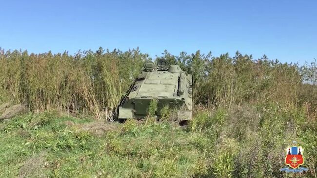 Уничтожение делянки в  лесных массивах Михайловского района, Уссурийской области