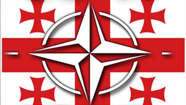Грузия не вступит в НАТО, не наладив ситуацию с правами человека