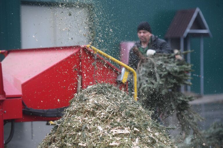 Акция Елочный круговорот в Москве