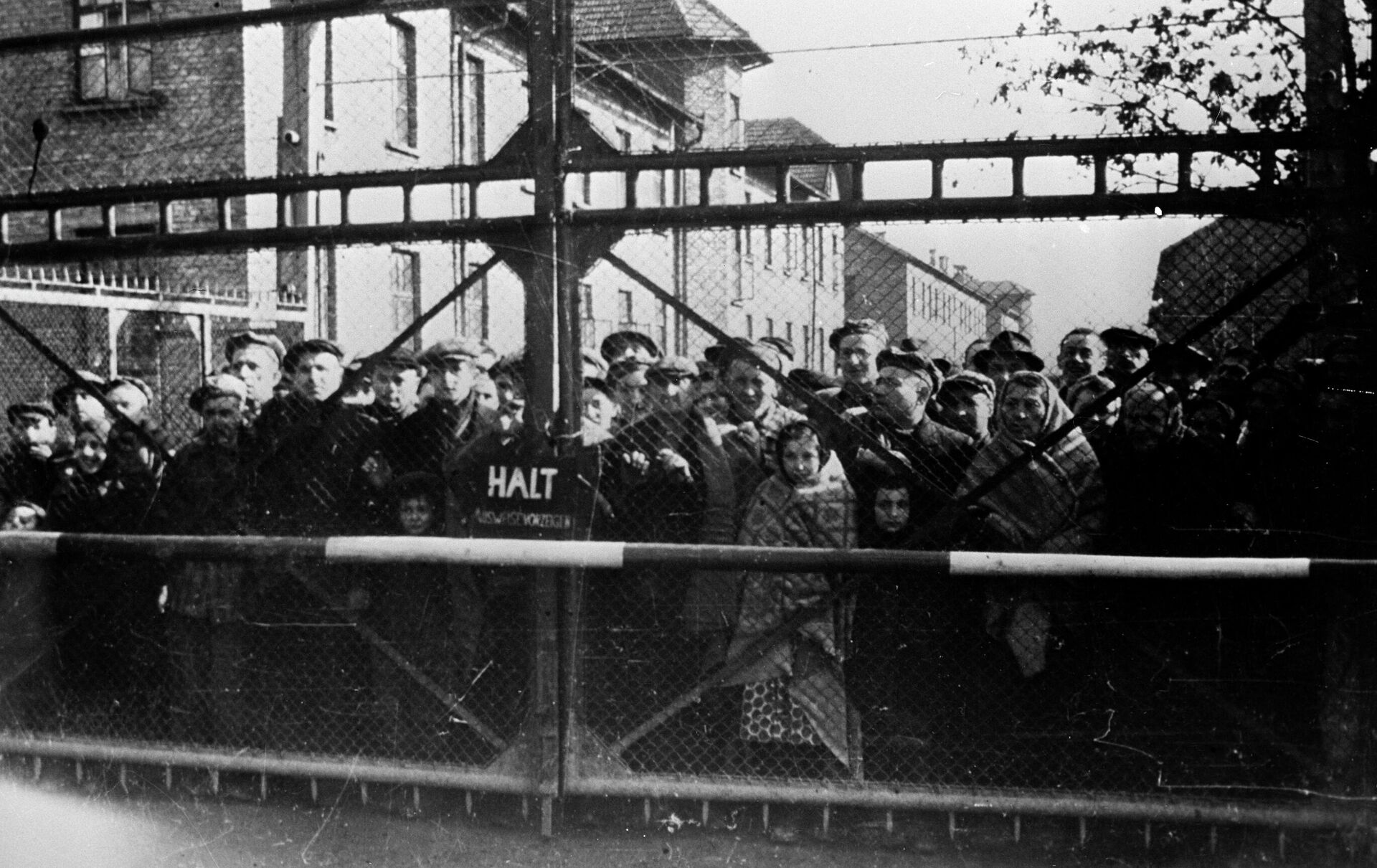 Узники Освенцима перед освобождением лагеря Советской Армией Узники Освенцима перед освобождением лагеря Советской Армией