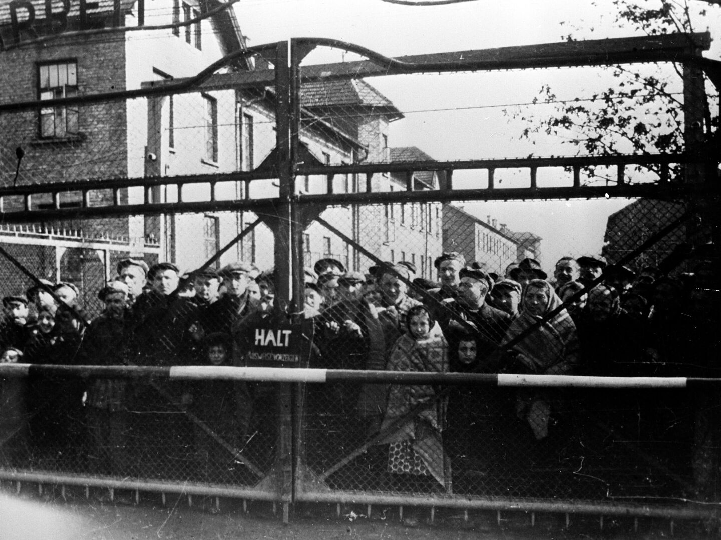 Освобождение узников Освенцима 1945