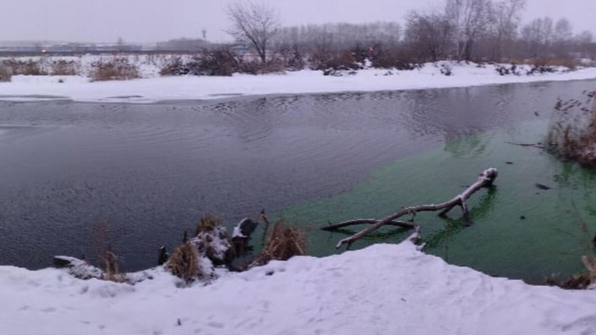 Вода в реке Миасс, окрашенная в зеленый цвет - РИА Новости, 1920, 23.01.2020