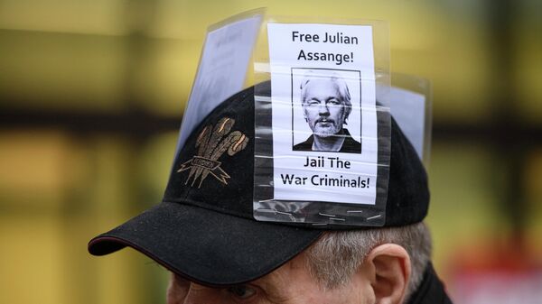 Участник акции против экстрадиции основателя Wikileaks Джулиана Ассанжа